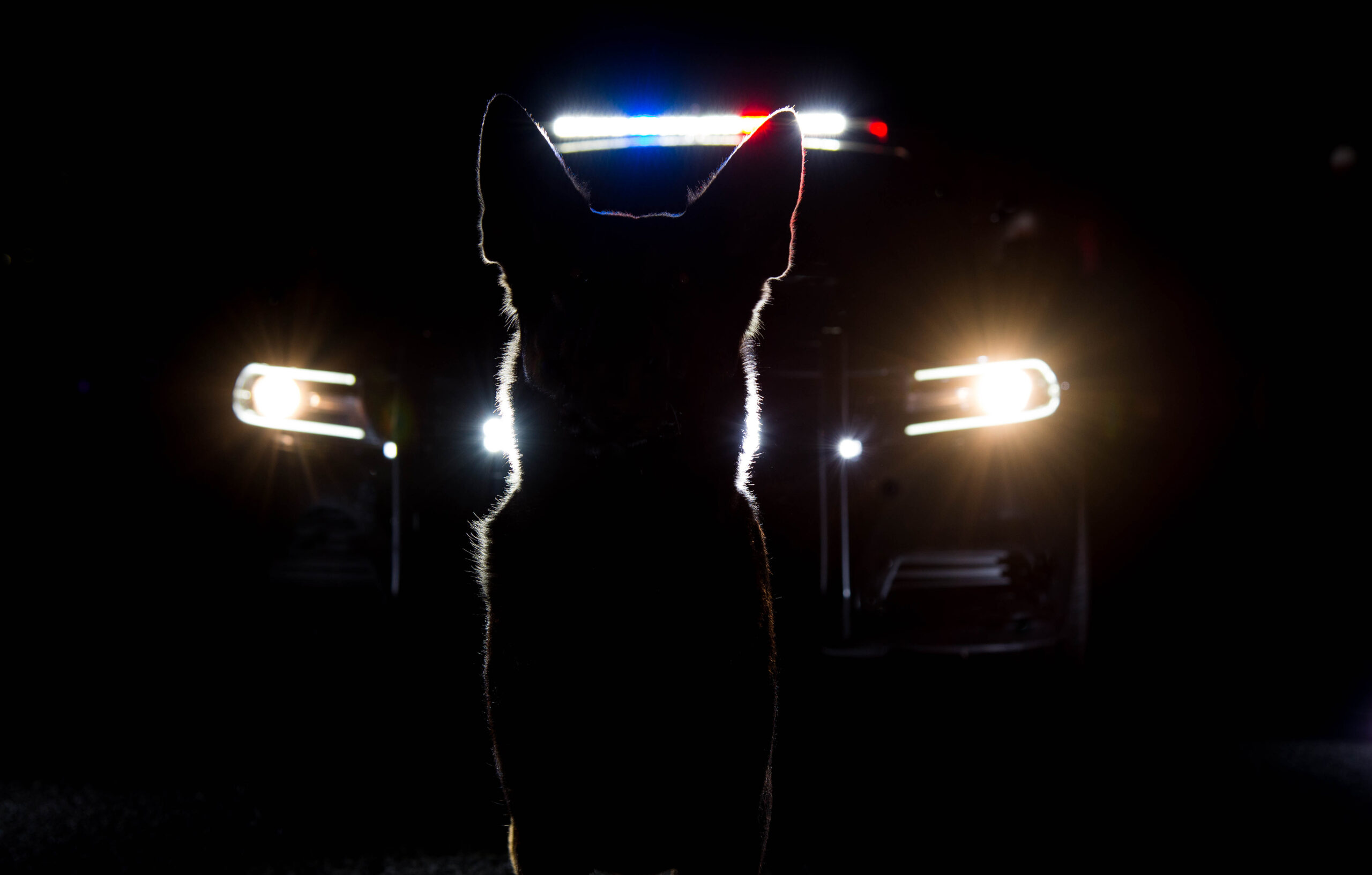 Officers reviewing an emergency vehicle build